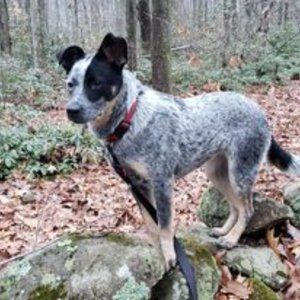 Meet your Posher, Jay